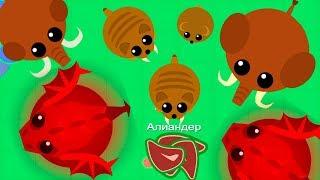 Mope.io Новая сходка в Мопио. Север или Юг, Мамонты или Драконы!