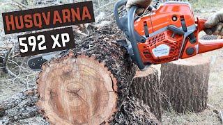 Husqvarna 592xp Review - First Impression