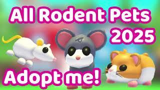 Every Rodent Pet in Adopt me 2025