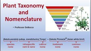 Plant Taxonomy and Nomenclature