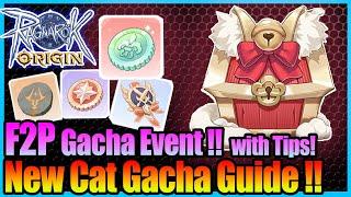 NEW Cat Gacha Box Event!! BEST Tips for F2P!! [Ragnarok Origin Global]