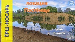 Русская рыбалка 4 - река Вьюнок - Ёрш-носарь и ракушки