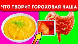 Гороховая каша вызывает необратимые процессы в теле человека