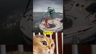 Woww the fish is too big  #memes #mrbombastic #meme #cat #bombastic #funny #misterbombastic