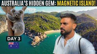 Dicovering Australia’s Secret Island & Wildlife: Townsville to Magnetic Island!  (Day3)