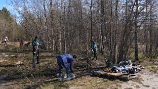 Сотрудники информагентства «Импульс севера» навели порядок за детским садом «Теремок»