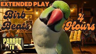 Birb Beats | Lofi Chillhop Music Mix for Birds | 4 Hour Extended Play |  Parrot Town TV for Birds