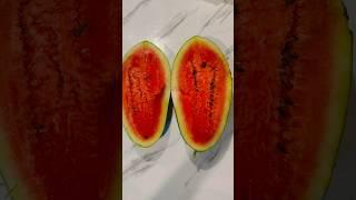 #watermelon harvest #homegrown#garden#healthy#organic#usafarming