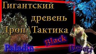 Black Desert #9 Гигантский древень ,Дроп,Тактика(Призывной Босс)