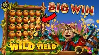 BIG WIN NEW ONLINE SLOT  WILD YIELD  RELAX GAMING - ALL FEATURES