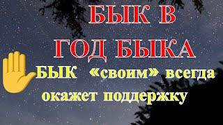 Бык в 2021 году Быка. Восточный гороскоп.