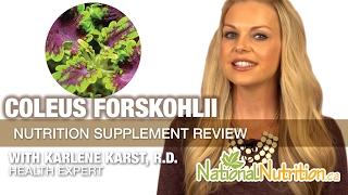 Coleus Forskohlii for Weight Loss & Asthma Prevention: Supplement Review | National Nutrition Canada