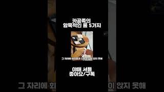 카공충의 암묵적 룰