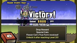 Battle Cats Beginners' Guide | Next Steps: how to get Bombercat (true form Flower Cat)