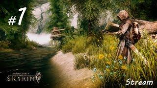 Запись стрима (Skyrim Association 1.7.1 #1)