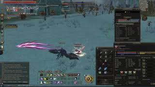 Lineage 2 Essence | Low level pet exping