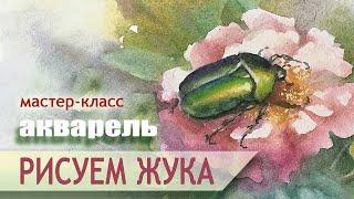 Рисуем ЖУКА  акварель Елена Гридасова