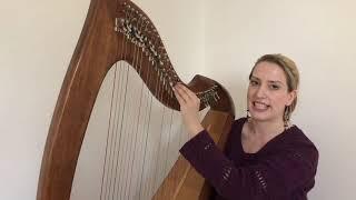 Celtic Harp Lesson: Metsäkukkia