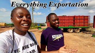 HOW TO EXPORT FROM GHANA - ABROAD|| MILANI FARMS