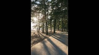 Diceros- Before sunset (Ambient)
