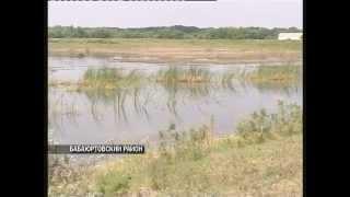 ФГБУ "Запкаспрыбвод" Выпуск личинок сазана в р. Терек