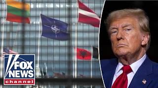 NATO allies ‘very likely’ to boost spending, says former ambassador