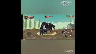 Playing with XxDarkMoonxX! killing furious bull