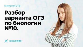 ⭐Разбор варианта ОГЭ-2023 по биологии №10