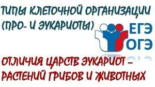 Типы клеточной организации. Отличия царств - Растений, Грибов, Животных