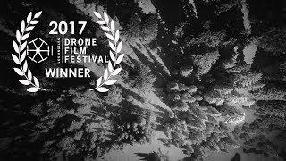 WINTER WONDERLAND -  2017 Los Angeles Drone Film Festival LANDSCAPE Category Winner