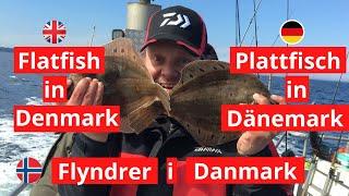 Flatfish fishing techniques in Denmark