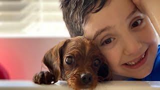 Dog Bath Time for Kids  How to Bathe a Puppy for Kids | Dog Grooming for Kids