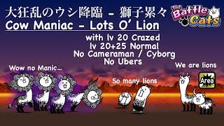 Battle Cats Cow Maniac Lots O' Lion - No Manic Cats！ Manic Lion's Review！