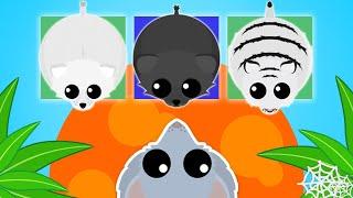 *RARE* Animals Luck Challenge in MOPE.IO