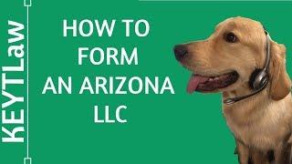 How To Form a Do-It-Yourself Arizona LLC (2024)