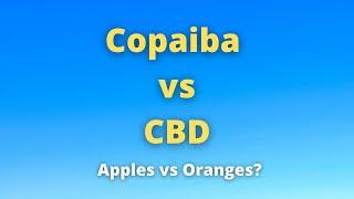 Copaiba vs CBD. How They Differ & How They Are Similar. Doctor Jack Episode 49