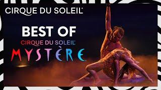 The Best of Mystère | Cirque du Soleil