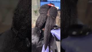 Hair Density Chart  #youtube #subscribe #naturalhair