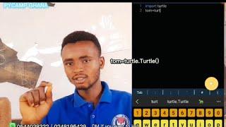 CODE WITH TOM (In Twi) Lesson 1  #turtlegraphics #turtle #python #PyCamp #coding #ictv