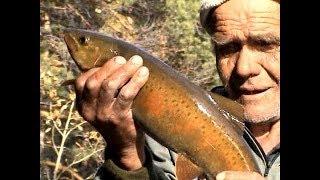 Autumn fishing in the mountains of Baikal region. Catching the Lenok on the Turokcha. Russia.