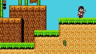 Whomp 'Em NES no death 60fps