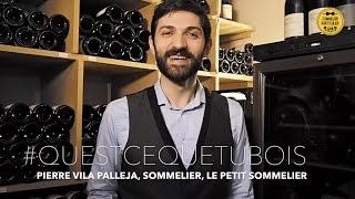 QU'EST CE QUE TU BOIS : Pierre Vila Palleja, sommelier du restaurant Le Petit Sommelier