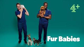 Fur Babies - 2023 - Channel 4 Series Trailer