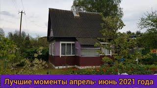 Лучшие моменты на канале "Жизнь вдали от городской суеты " апрель- июнь 2021 года