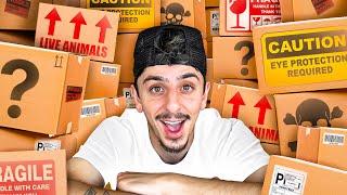 I Opened 100 Mystery Boxes and Found ______!