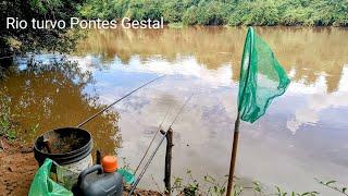 Pescaria raiz a linha cantou se tá doido correntesas do Rio turvo Pontes Gestal SP..