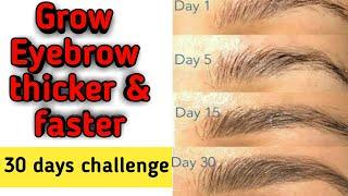 Grow Eyebrows Faster & thicker : How to grow eyebrows faster & heavier with in one month naturally