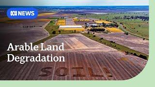 Soil decay threatens food supply with 40% of arable land affected | ABC NEWS