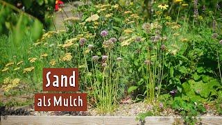 Sandbeet: Perfektes Klima für trockenheitsliebende Stauden | MDR Garten