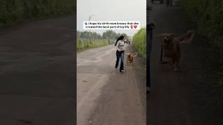 #dogs#youtubeshorts#youtube#cute#love#explore#pets#foryou#goldenretreiver#trending#trend#cutepets